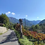 Villa Il Vigneto *