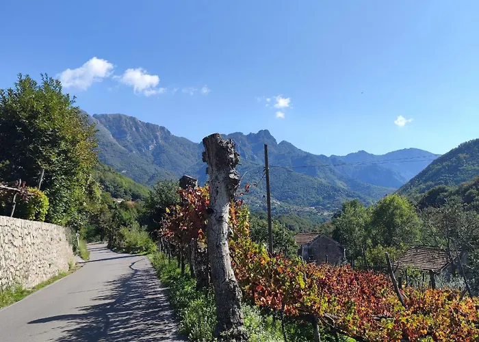 ヴィラ Il Vigneto *