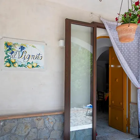 Il Vigneto *