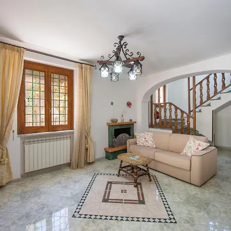 Il Vigneto *