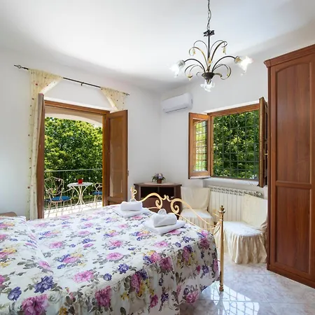 Il Vigneto