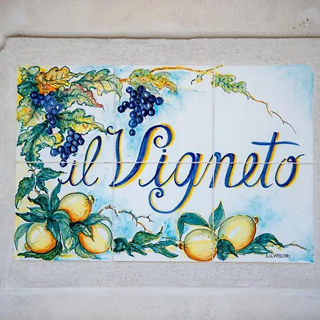 Il Vigneto Villa