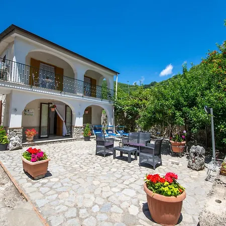 Il Vigneto Villa