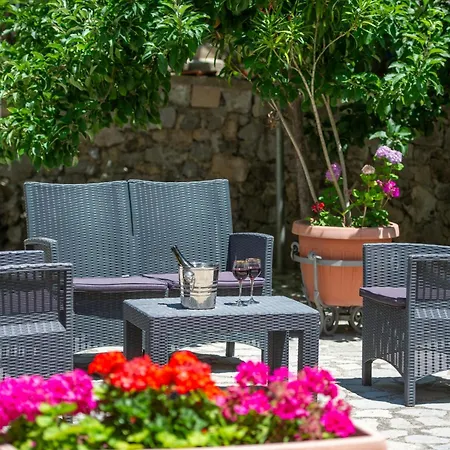 Il Vigneto *