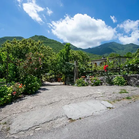 Il Vigneto Tramonti
