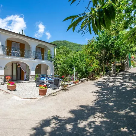 Il Vigneto Villa *