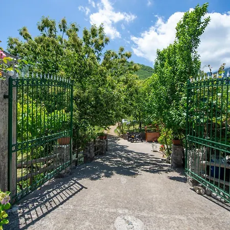 Il Vigneto