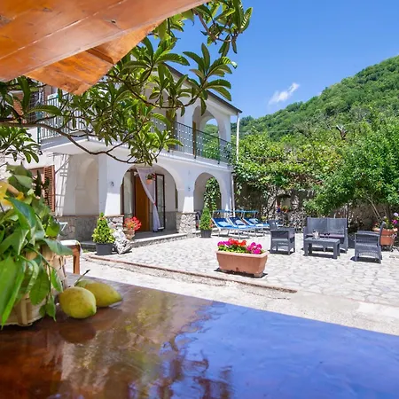 Villa Il Vigneto *