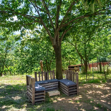 Il Vigneto * 트라몬티